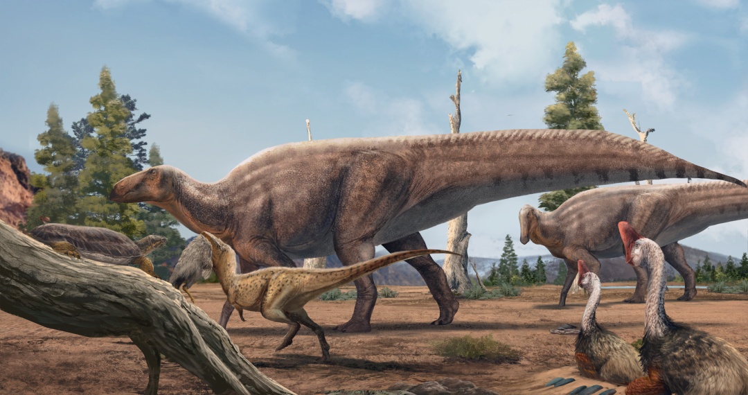 江西发现7000万年前新属种恐龙! 江西发现7000万年前新属种恐龙!