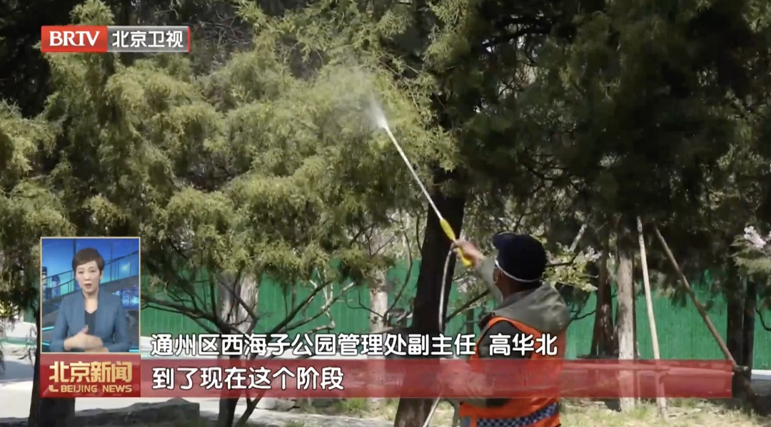 花粉浓度爆表,北京人却少遭罪了?背后有这些“神器”—— 花粉浓度爆表,北京人却少遭罪了?背后有这些“神器”——