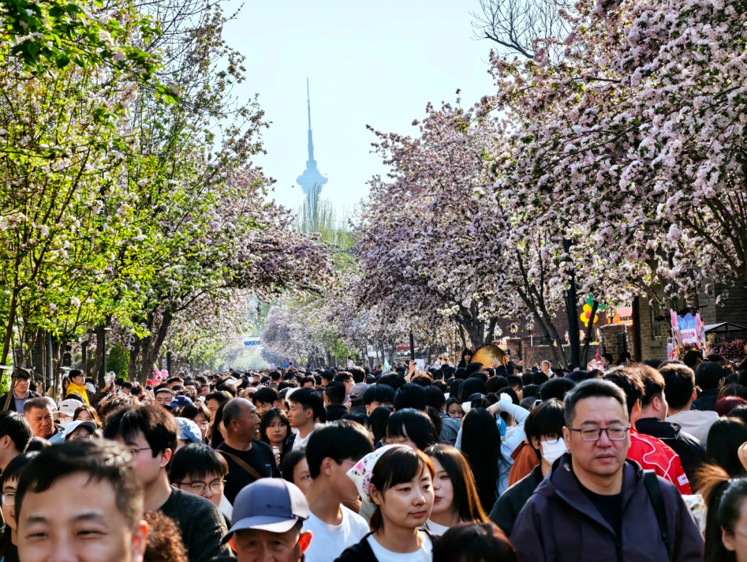 提醒 | 天津这些景区:约满! 提醒 | 天津这些景区:约满!
