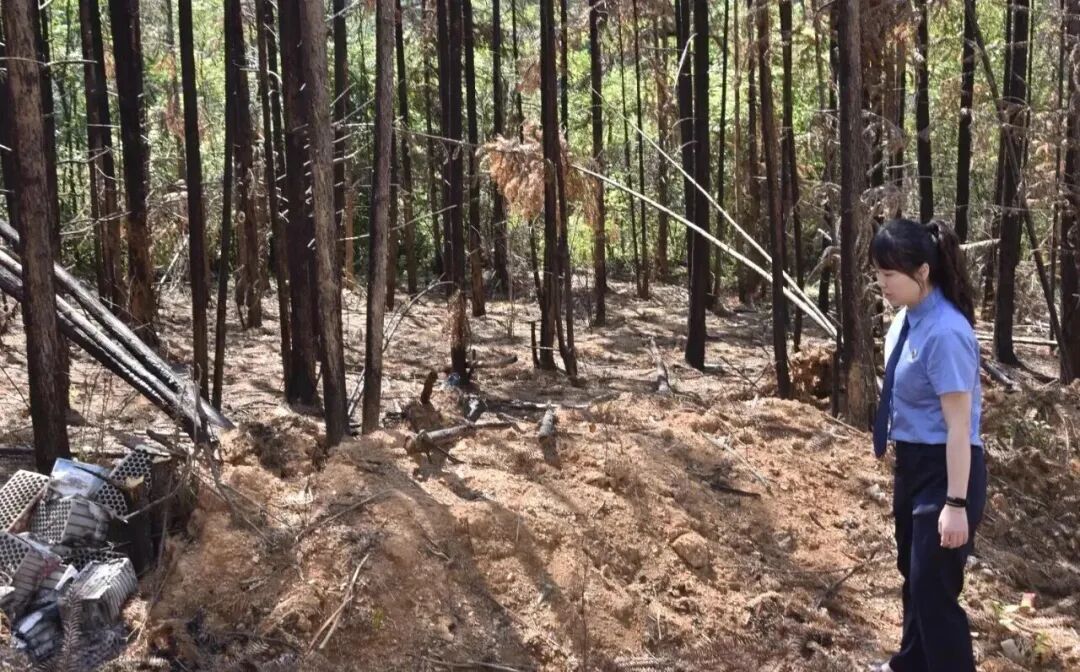 村民祭祖烧纸引灾祸,赔了70万还被判了3年!国家消防救援局发布典型案例 村民祭祖烧纸引灾祸,赔了70万还被判了3年!国家消防救援局发布典型案例