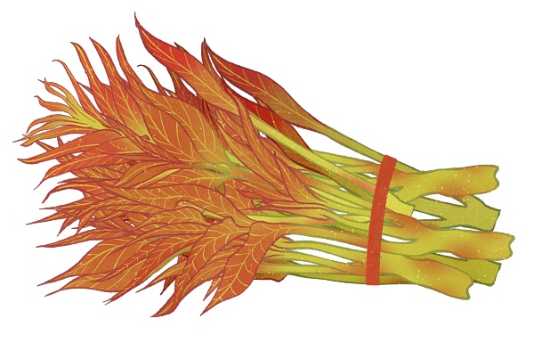 这些美食大量上市，很多人爱吃，吃不对，身体易“受伤”！这几类人尤其要注意→