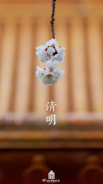 收藏！故宫清明壁纸合集