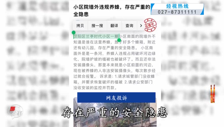 武汉一小区墙外惊现十几箱蜜蜂!附近还有幼儿园,市民路过心慌!相关部门回应 武汉一小区墙外惊现十几箱蜜蜂!附近还有幼儿园,市民路过心慌!相关部门回应