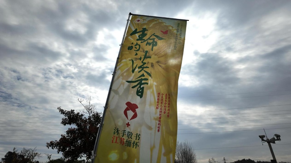 生命，从结束时开始