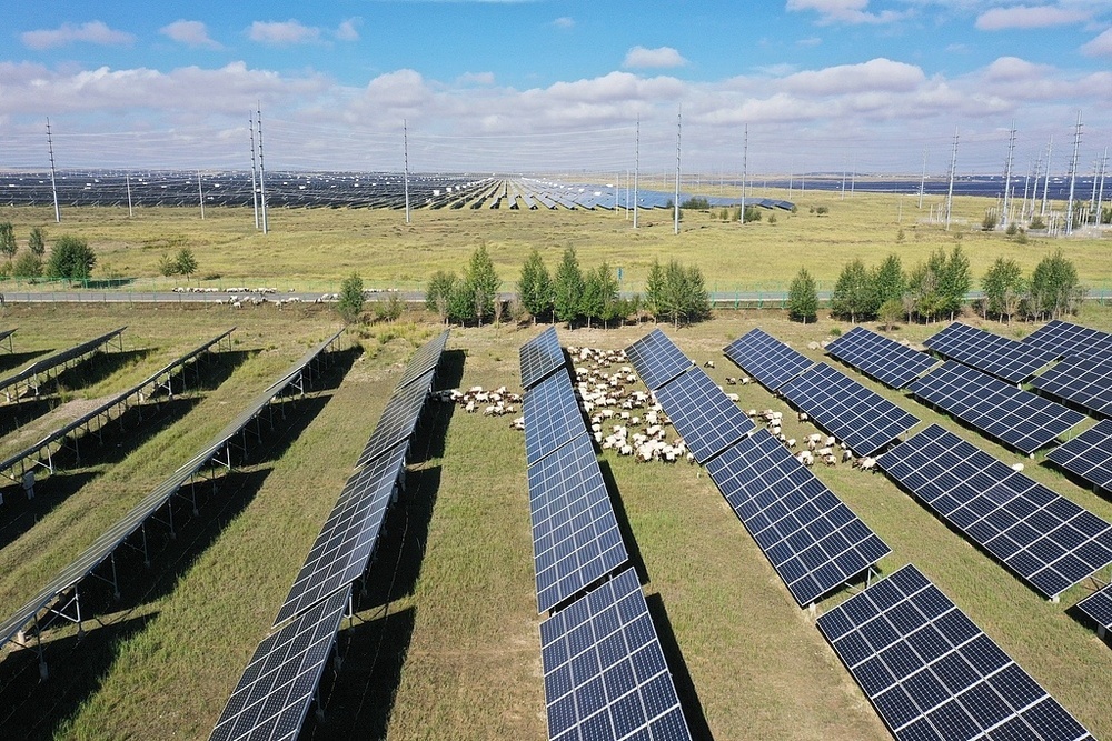 中国经济信心说丨全球“增绿”最多最快是如何炼成的