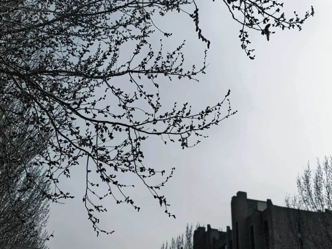 突然变天!辽宁多地发布黄色预警!注意:紧接着还有大反转 突然变天!辽宁多地发布黄色预警!注意:紧接着还有大反转