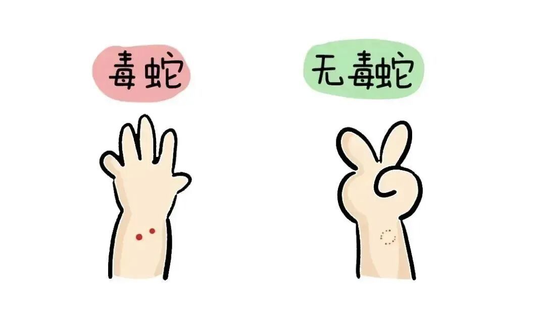 前方或有蛇出没！广西人去看太公太婆时当心脚下