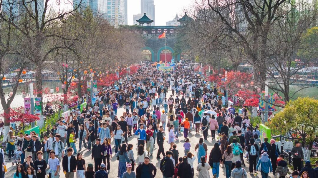 约满、售罄！这些热门景区已限流