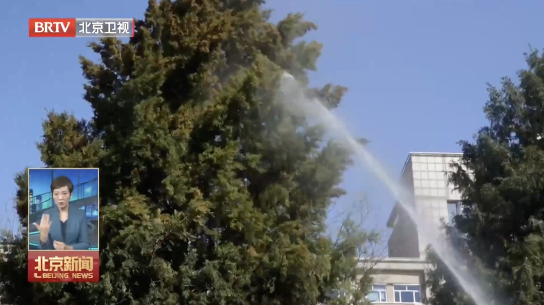 花粉浓度爆表,北京人却少遭罪了?背后有这些“神器”—— 花粉浓度爆表,北京人却少遭罪了?背后有这些“神器”——