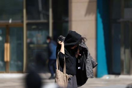 北京发布大风蓝色预警，阵风可达7至8级