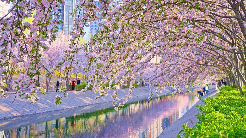 今日清明，讲个冷知识