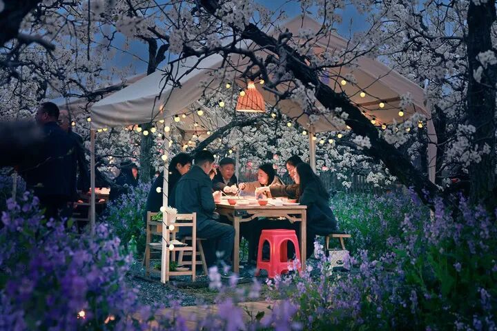 今日清明，讲个冷知识