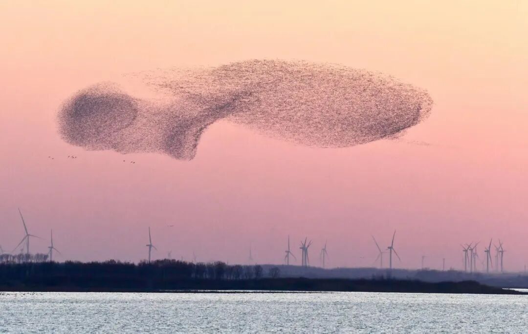 假期去踏青！沈阳推出6条春季特惠游直通车线路，发车时间、地点→