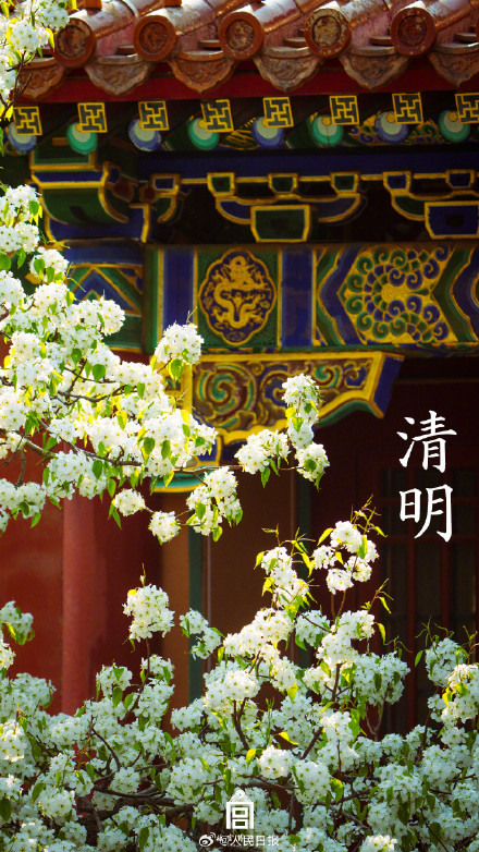 收藏！故宫清明壁纸合集