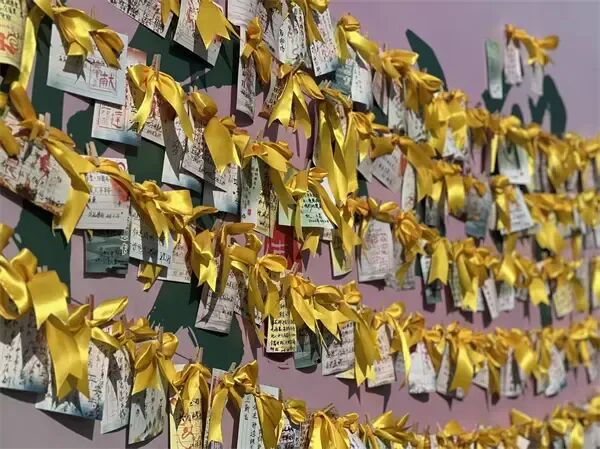 哈尔滨市清明小长假首日13万人错峰出行祭扫 哈尔滨市清明小长假首日13万人错峰出行祭扫