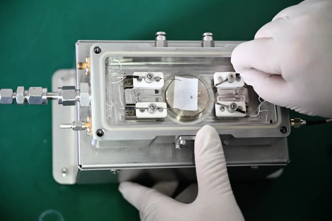 一元硬币载218个“嗅探器”！我国研制出一款微型臭氧监测传感器