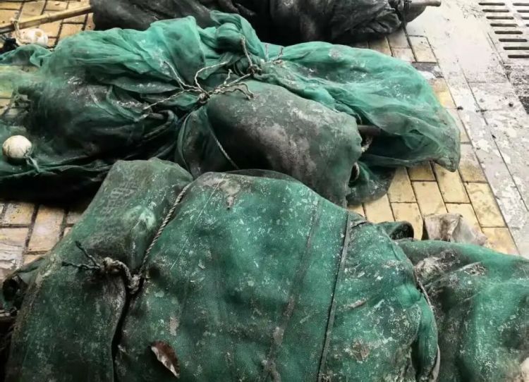 7人团伙江边踩点,被警方“一网打尽” 7人团伙江边踩点,被警方“一网打尽”