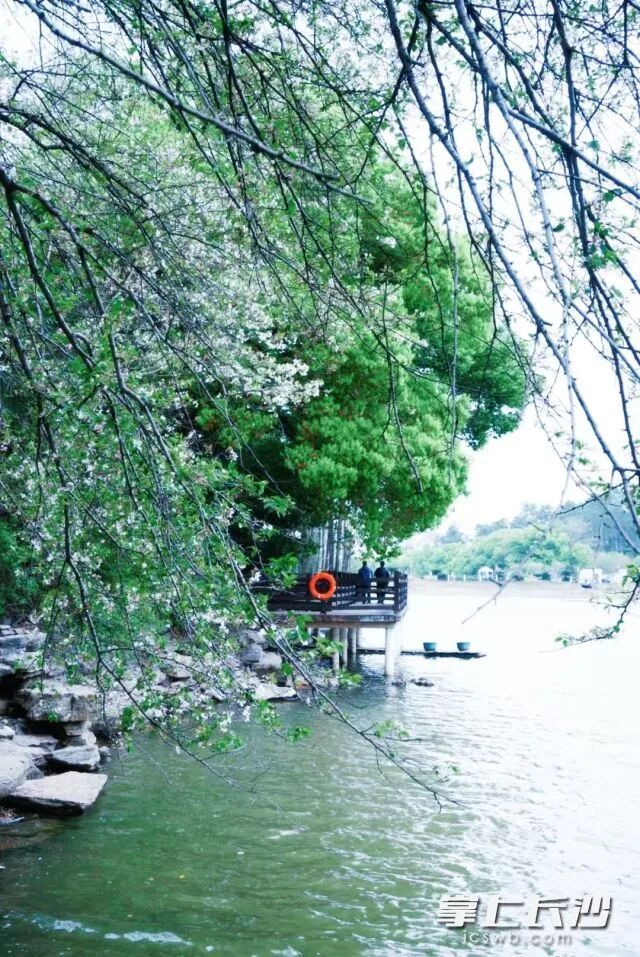 长沙又要连续下雨！气温直冲30℃！