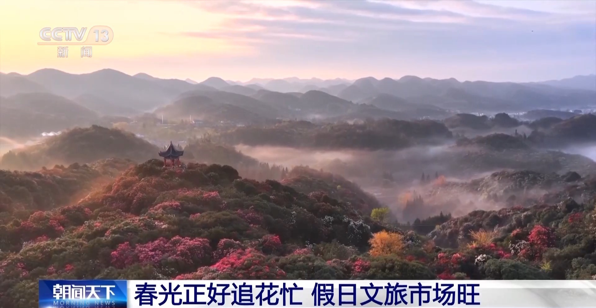 假日“追花地图”热力全开 赏花游带火春日经济 假日“追花地图”热力全开 赏花游带火春日经济