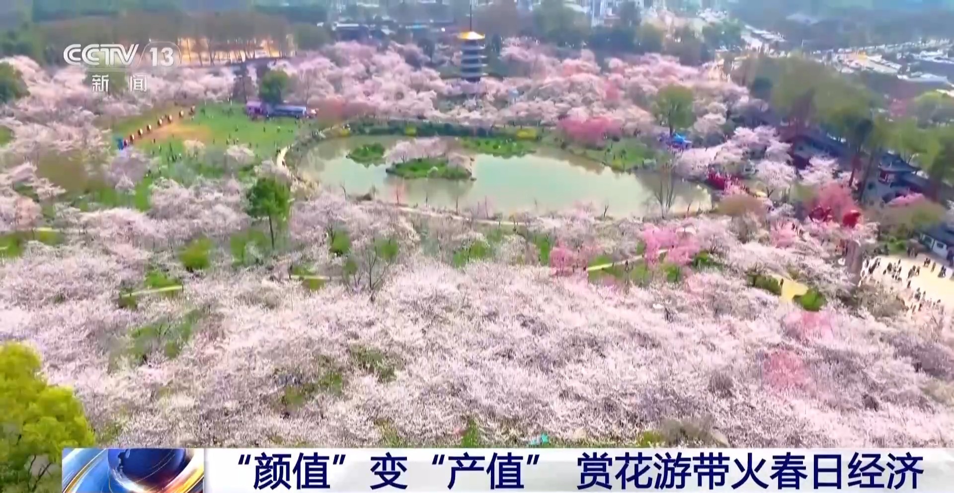 假日“追花地图”热力全开 赏花游带火春日经济 假日“追花地图”热力全开 赏花游带火春日经济