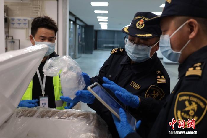 2737条印尼观赏鱼从成都天府国际机场进境