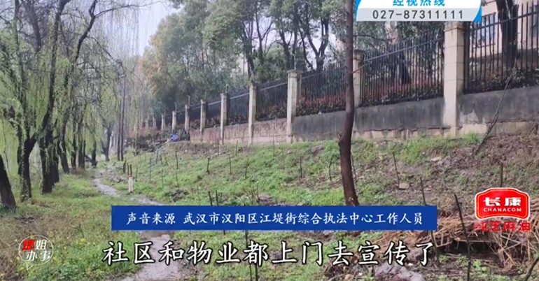 武汉一小区墙外惊现十几箱蜜蜂!附近还有幼儿园,市民路过心慌!相关部门回应 武汉一小区墙外惊现十几箱蜜蜂!附近还有幼儿园,市民路过心慌!相关部门回应