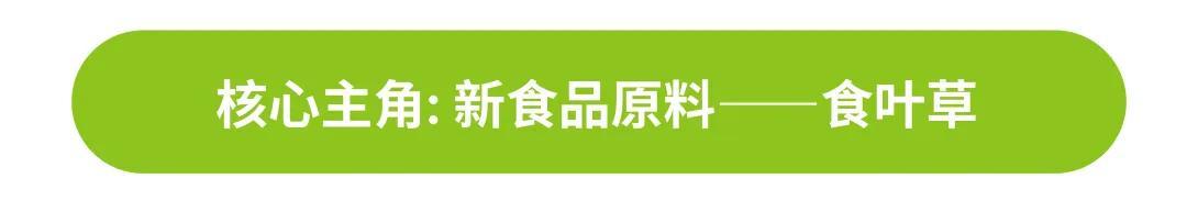 清明食青团，健康享春意 | 时令节气与健康