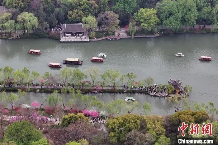 清明也分“早晚”?专家回应 清明也分“早晚”?专家回应