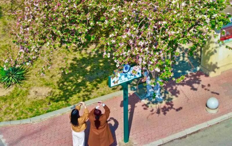 多地景区宣布：限流、停止售票！天津这些地方已约满！