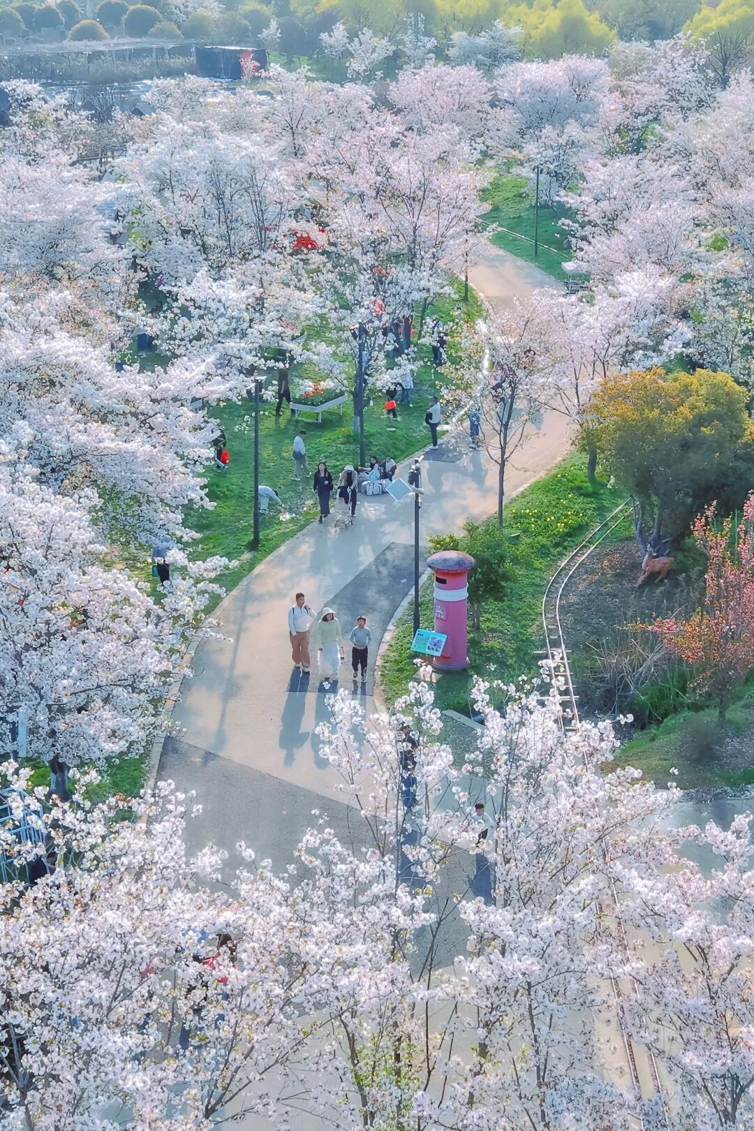 约满、售罄！这些热门景区已限流