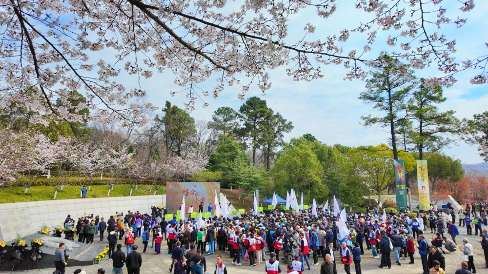 生命，从结束时开始