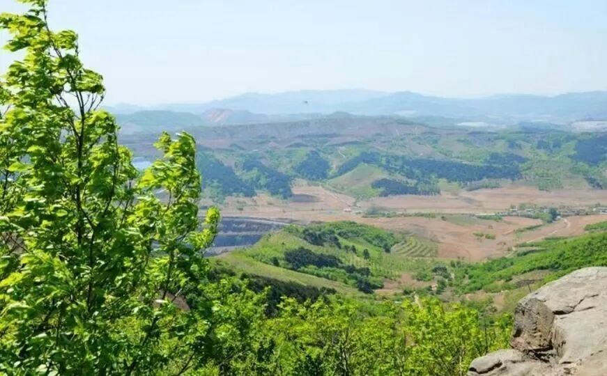 假期去踏青！沈阳推出6条春季特惠游直通车线路，发车时间、地点→