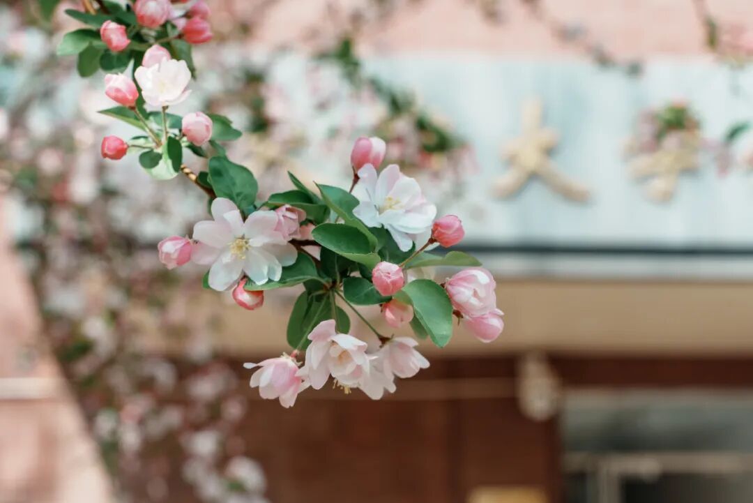 提醒 | 天津这些景区:约满! 提醒 | 天津这些景区:约满!