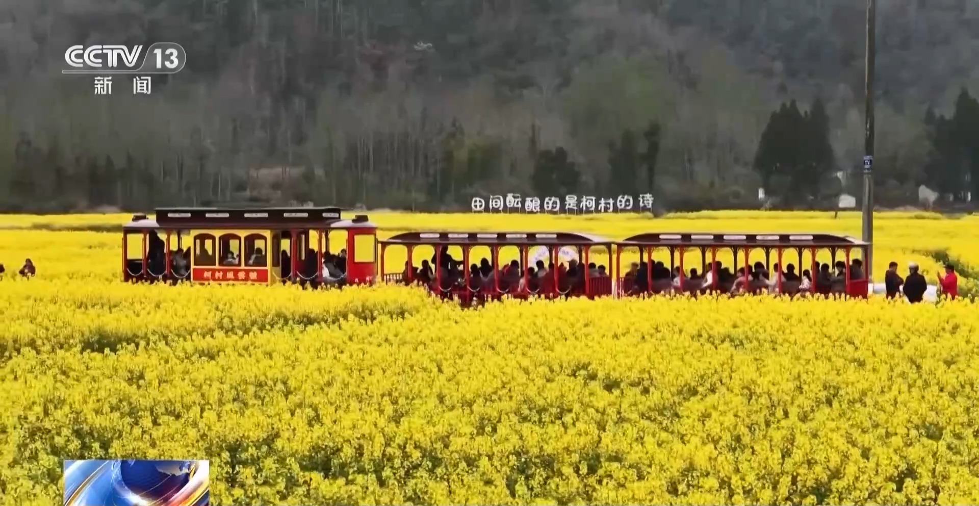 假日“追花地图”热力全开 赏花游带火春日经济 假日“追花地图”热力全开 赏花游带火春日经济