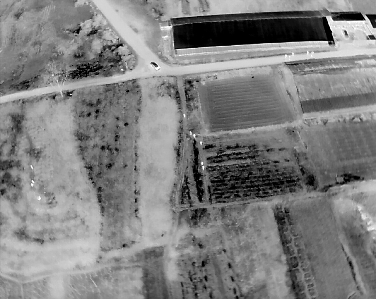 夜盗将军墓，5人被抓获！