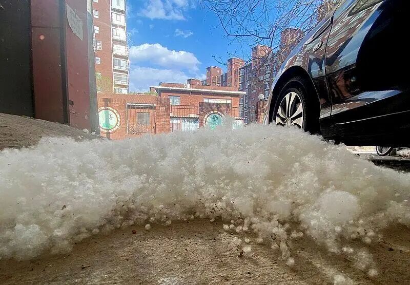 “钻进每一个鼻孔……”北京今起开始飞絮，注意：易燃性堪比汽油