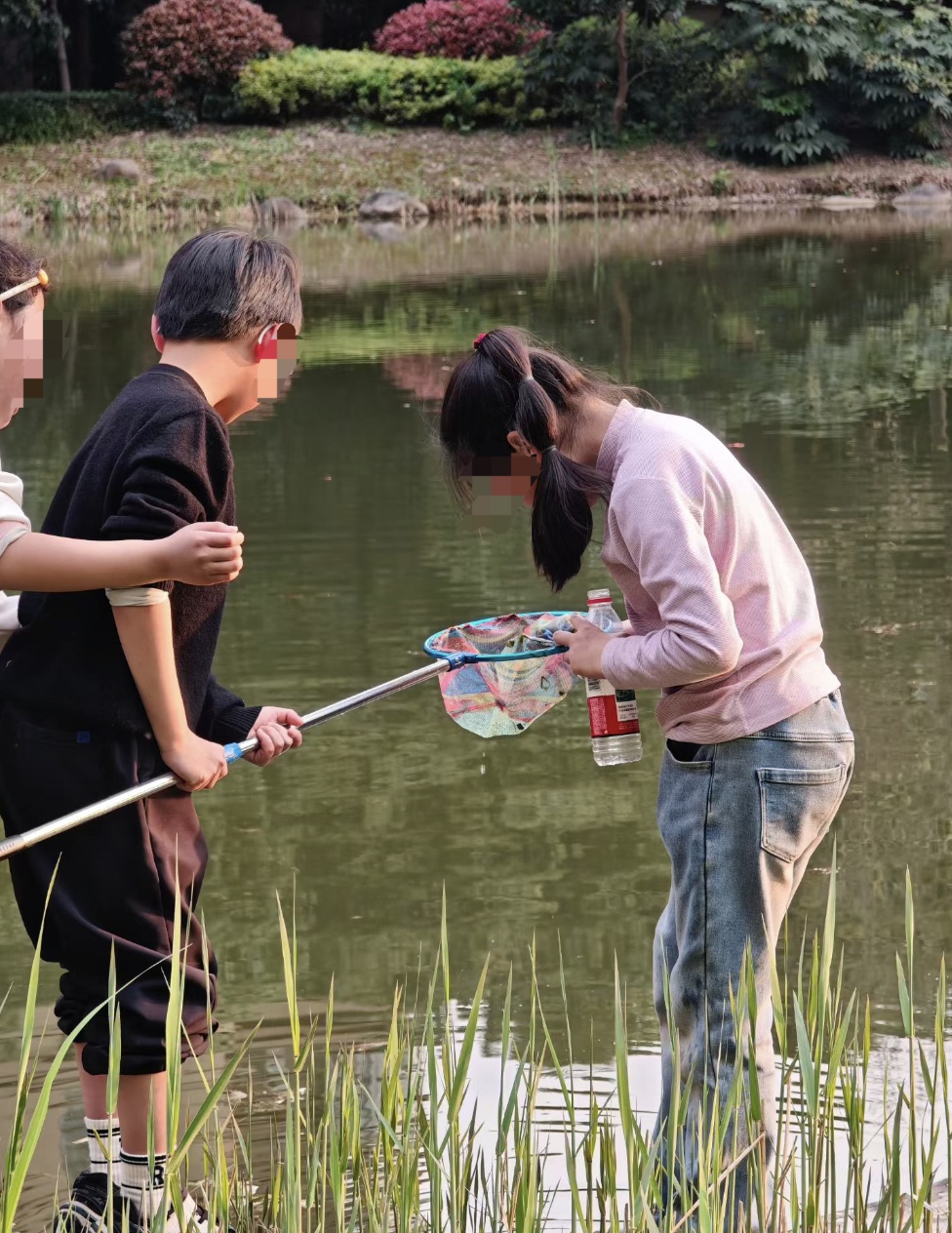 镇江水域大量出现，多部门紧急提醒！
