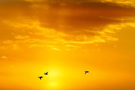 玉渊潭邂逅晚霞，定格春日城市画卷