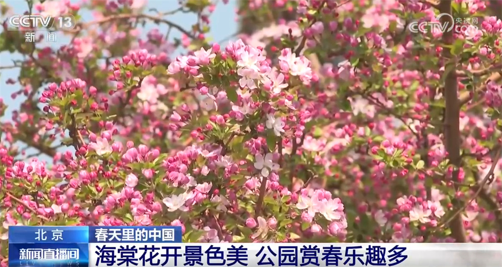 “花样经济”升温解锁大好春光 “春日经济”从“流量”到“增量”潜能不断释放