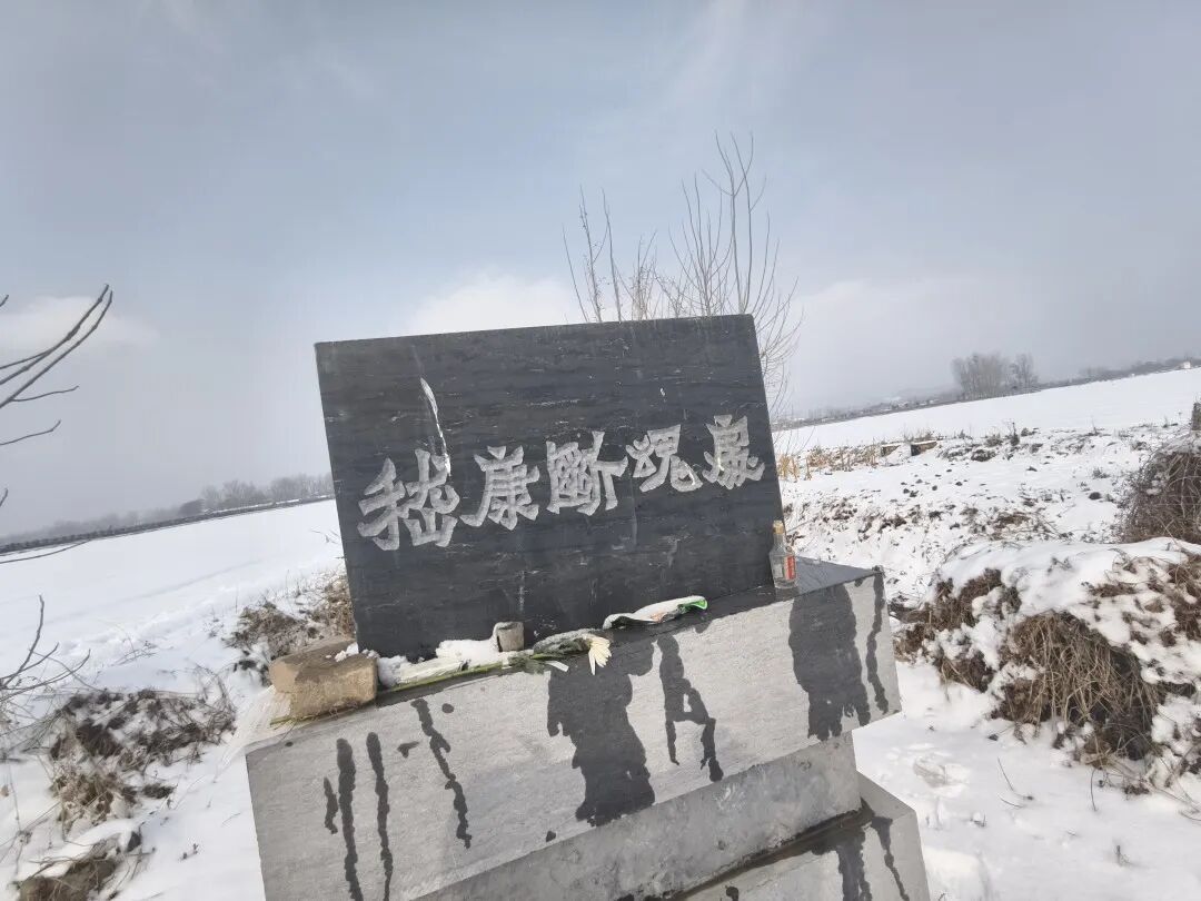 一年上了30多座坟，这届年轻人为何爱上扫墓？