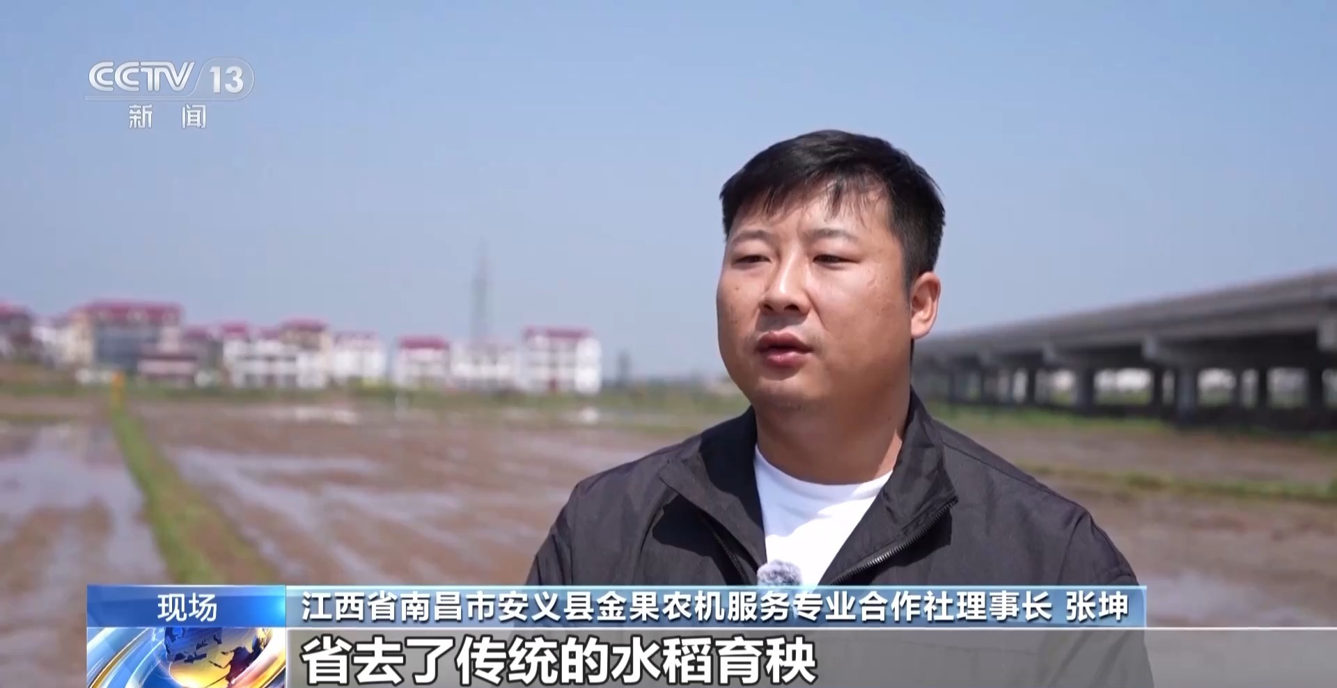 全国早稻育秧已过八成 科技春耕筑牢“粮袋子”