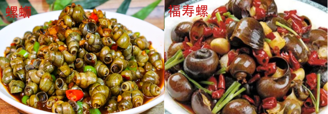 别碰更别吃！这类“密恐”生物近期大量出现，寄生虫多达6000多条