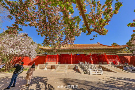 故宫海棠配红墙太出片了