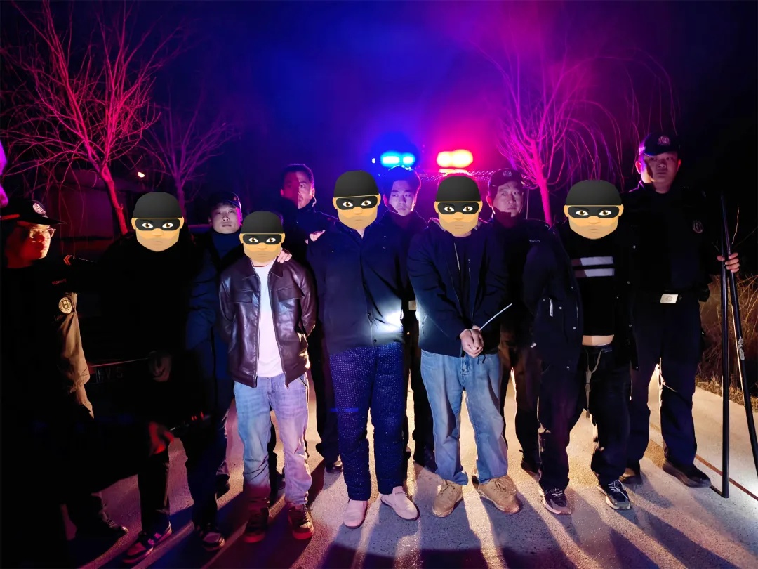 夜盗将军墓，5人被抓获！