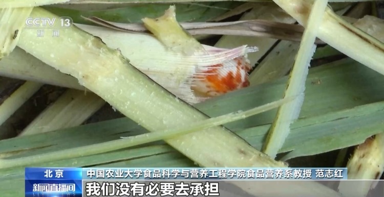 警惕“红心”霉变风险 食用甘蔗时做到四“当心”