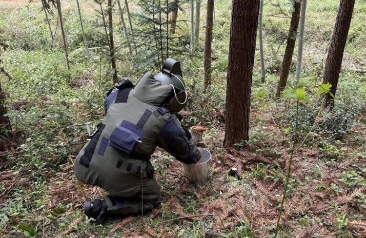 两村民挖笋先后发现战时遗留手雷，警方紧急处置