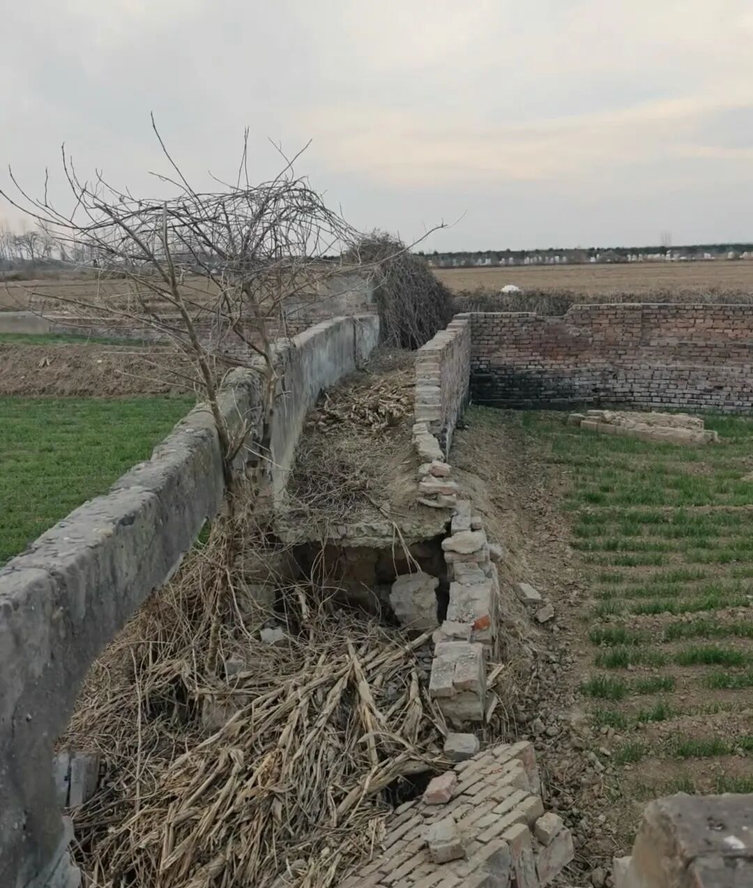 一年上了30多座坟，这届年轻人为何爱上扫墓？