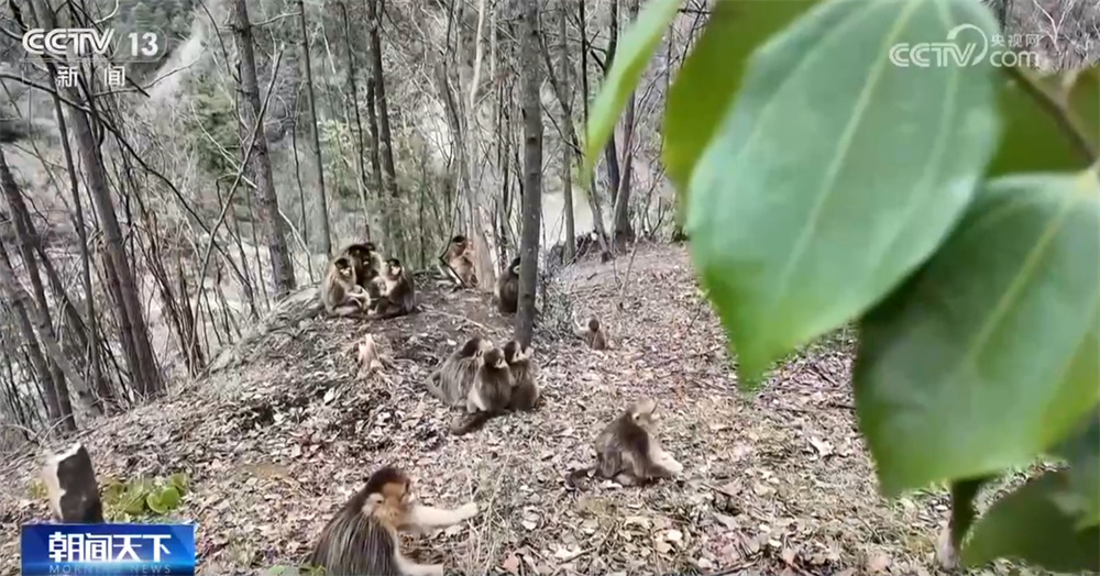 “科普+文旅”沉浸式体验点亮春日文旅消费 “儿童友好”呵护服务暖心扉
