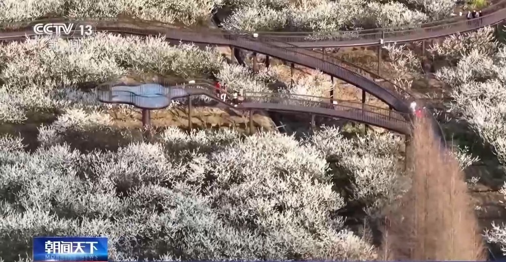 沉浸式科普+儿童友好服务 假期带娃这样玩→