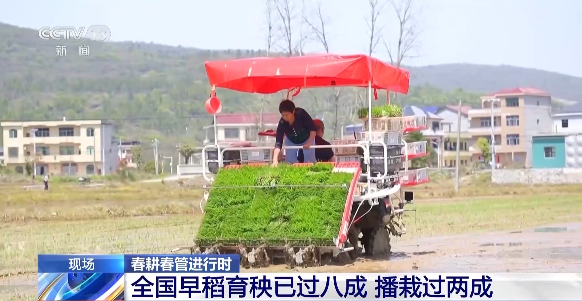 全国早稻育秧已过八成 科技春耕筑牢“粮袋子”
